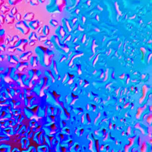 Meet your Posher, Stella